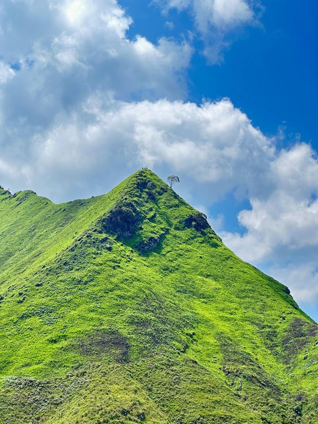 廣西崇左劍龍山山不見我我來見山