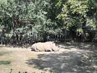 中國開放最早的動物園——北京動物園