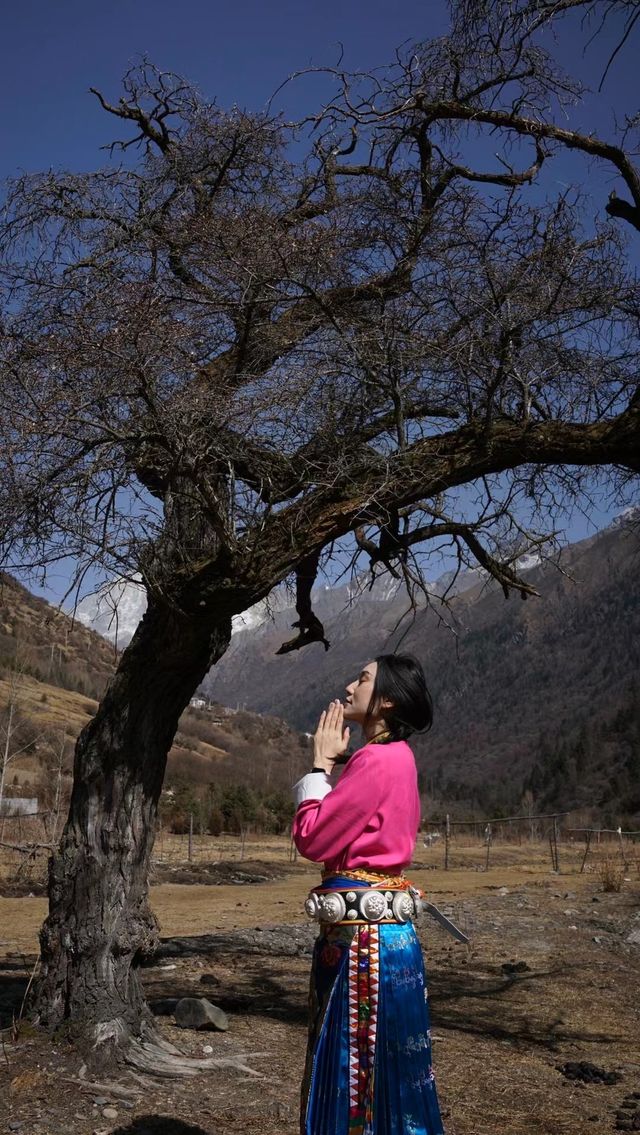 川西雲端上的夢幻居所,甲居藏寨的魅力。