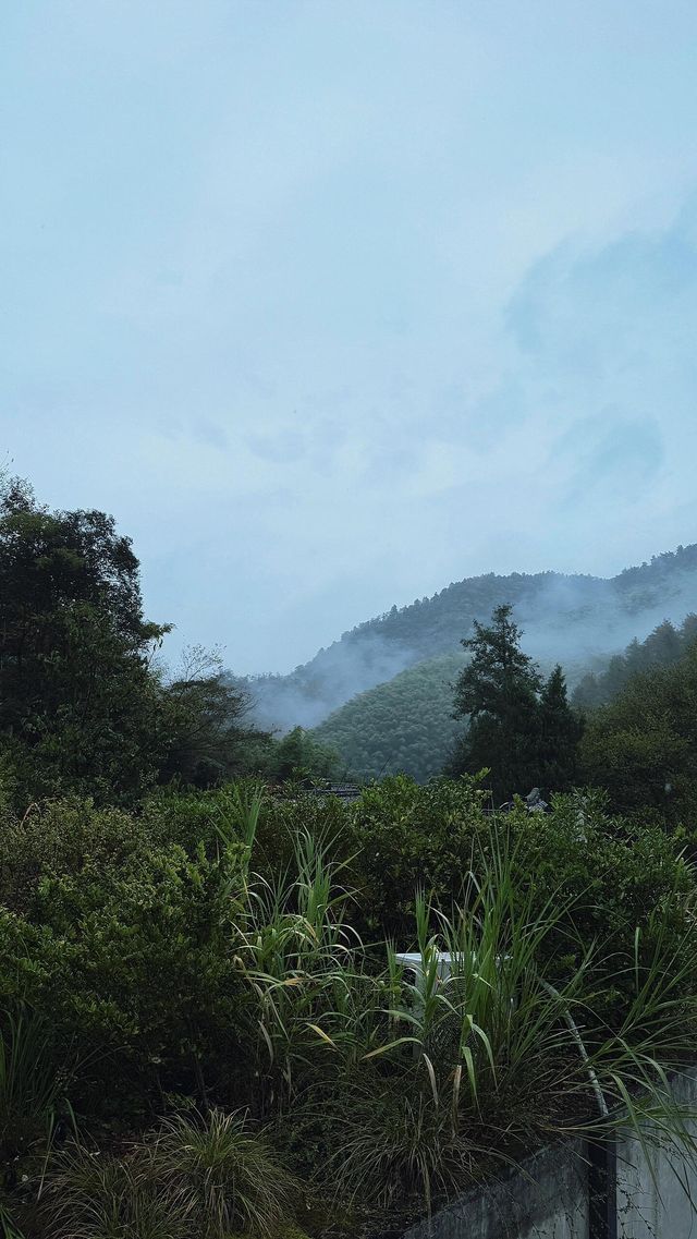 不捨野馬嶺。