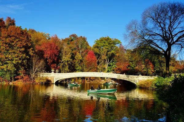 Autumn in New York City 🍂