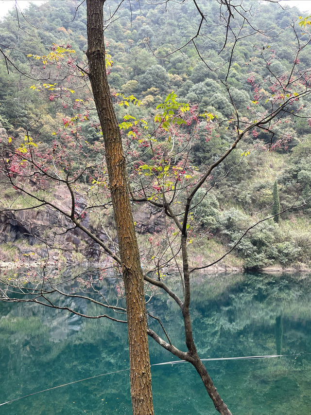 桐廬大奇山。