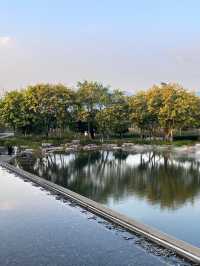 深圳市南山區西麗湖公園