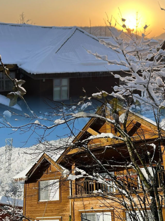 成都 入住西嶺雪山山腳下！雪景木屋好 city