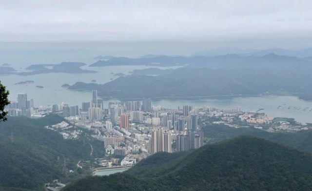 深圳登山－梧桐山（十一）