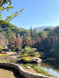 雲溪植物園