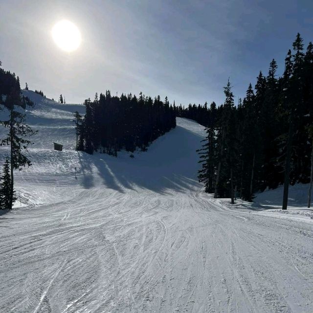 北美Whistler滑雪勝地，專業完勝亞洲區