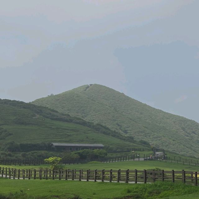 해외여행 대만 양밍산 칭티엔강 대초원 하이킹