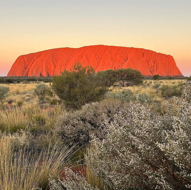 Red Rock Revelation: Uluru's Majestic Splendor