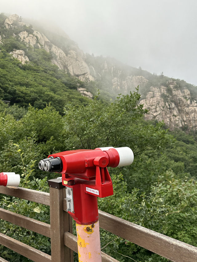 첩첩산중 🏞️ 아름다운 백두대간 풍경을 볼 수 있는 산 속 전망대 휴게소 💚