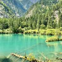 Must-Visit Wonderland: Jiuzhaigou Valley!