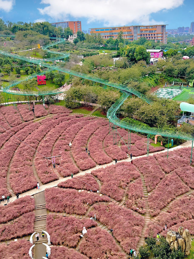  A Haven for Manga Enthusiasts Manhua Manor Chengdu 