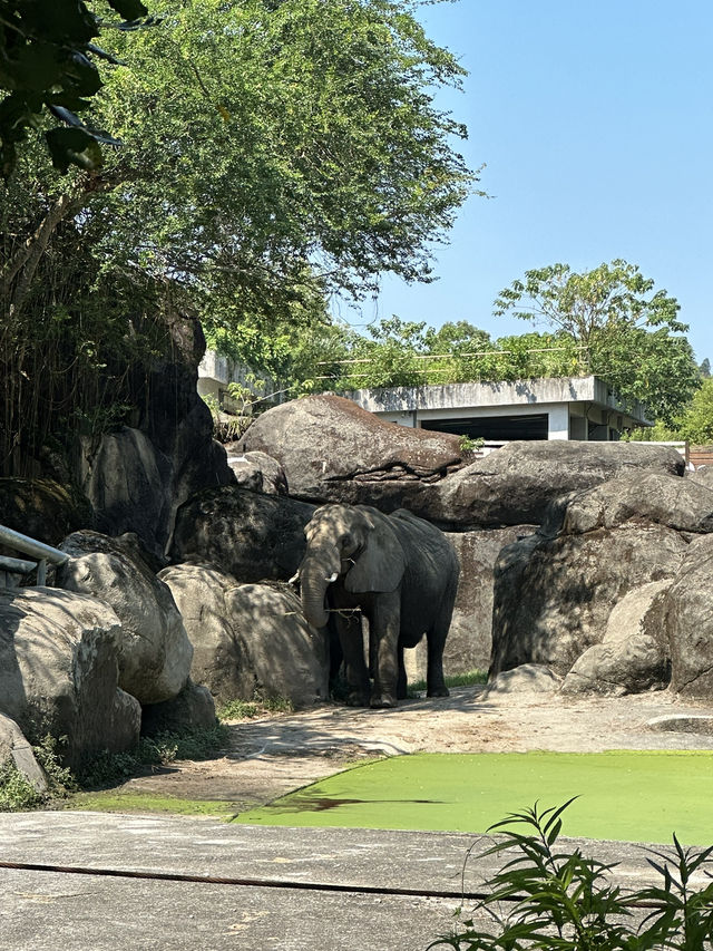 Animaland at Taipei Zoo