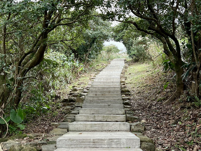 新北 360度環山景海景清幽步道⛰️