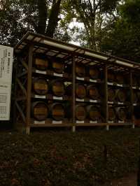 🇯🇵 Shibuya : Meiji Shrine 