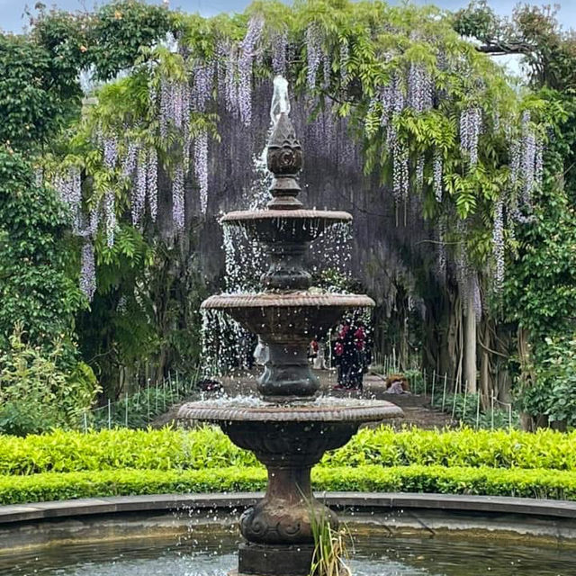  Alowyn Gardens: A Floral Paradise in Yarra Glen 