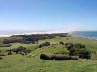 Puponga hilltop walk - Farewell Spit & Puponga Farm Park