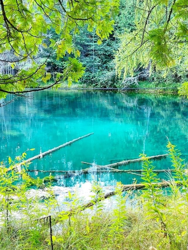 Riding a self-driven raft across Kitch-iti-kipi Spring is a magical experience