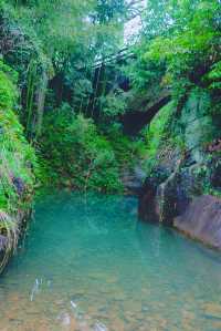 現實版富春山居圖｜山野中隱逸，藝術中沉浸