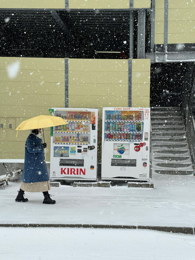 有種和北海道談戀愛的感覺……