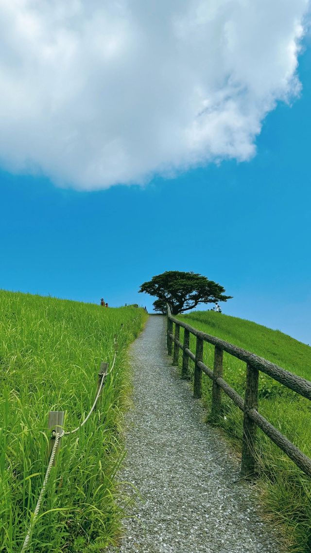 大室山旅遊景點。