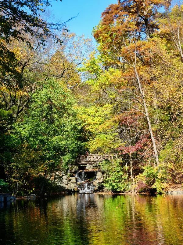 Autumn in New York City 🍂