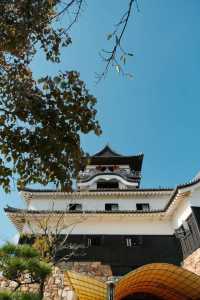 Discover the Timeless Beauty of Inuyama Castle