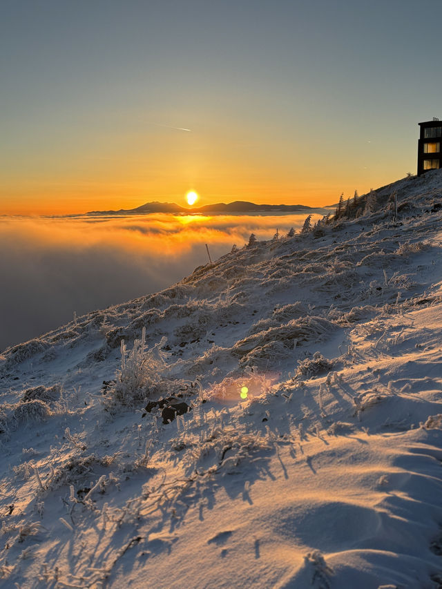 長野冬季限定｜在美原高原看雪景與星空