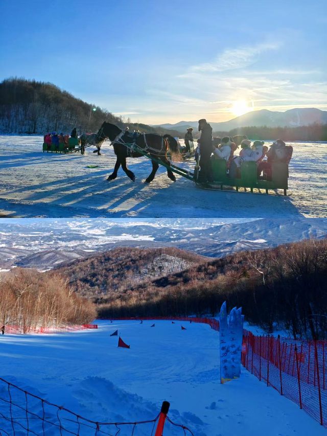 哈爾濱出發！哈亞雪三日遊攻略請收好！