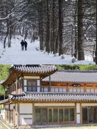 平昌兩日遊，冬奧之城的魅力之旅！