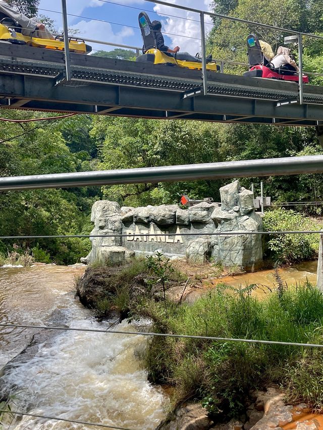 🛤️스릴만점 알파인코스터 타고 시원한 폭포 보러가요!🌊