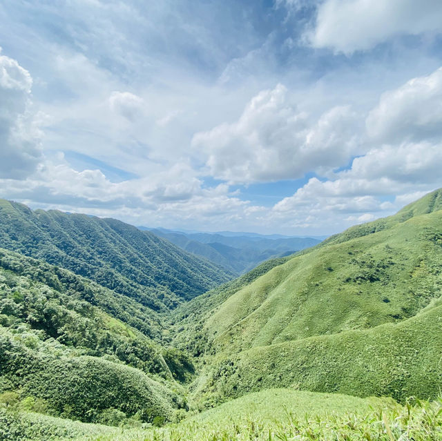 Matcha Mountain 