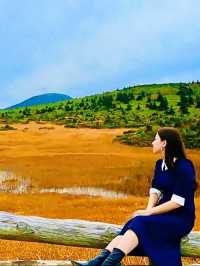 【秋の絶景】紅葉が美しい八甲田ロープウェー🚠⛰🍁