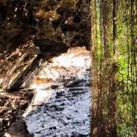 Exploring Nature’s Sunken Garden: Umpherston Sinkhole in Mount Gambier