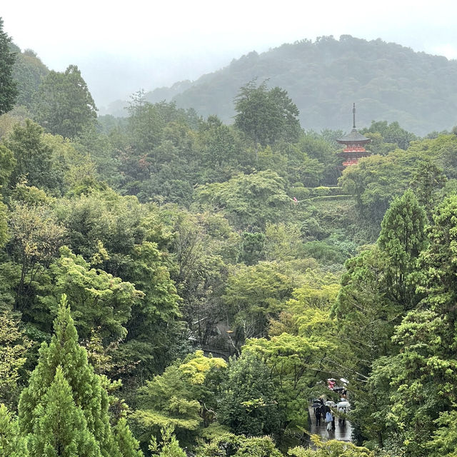 午後陣雨之京都清水寺的靜謐之旅