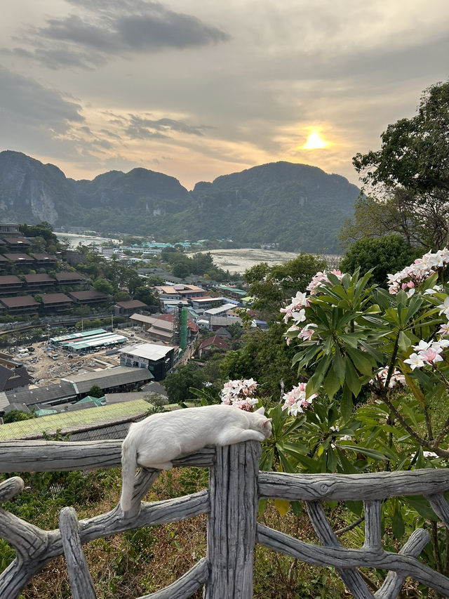 【🇹🇭ピピ島】絶景view pointで絶景サンセット☀️