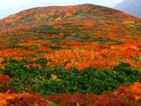 【宮城県】「神の絨毯」で知られる栗駒山の絶景紅葉