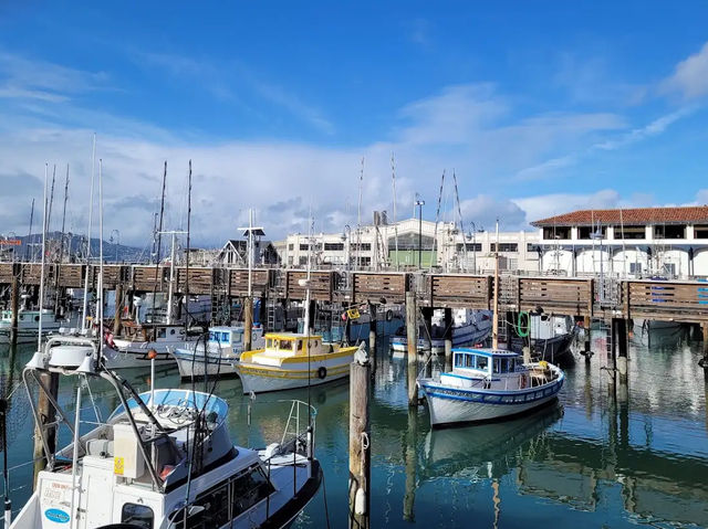 39號碼頭 PIER 39 舊金山景點 美國遊