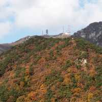 鷹峯山🐨秋色山野的自然🍂🏞️