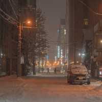 📍 Sapporo, Hokkaido 北海道 Winter's Charm, Endless snow..🇯🇵🖤