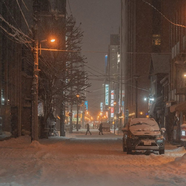 📍 Sapporo, Hokkaido 北海道 Winter's Charm, Endless snow..🇯🇵🖤