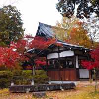 Shinnyodo Temple