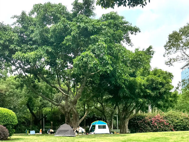  珠海梅華城市公園——都市中的寧靜綠洲