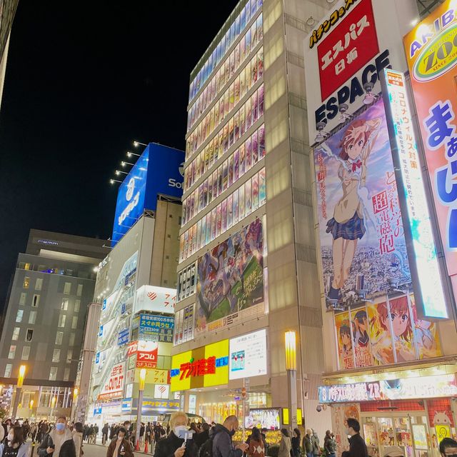 Famous electric town in Tokyo (Akihabara)