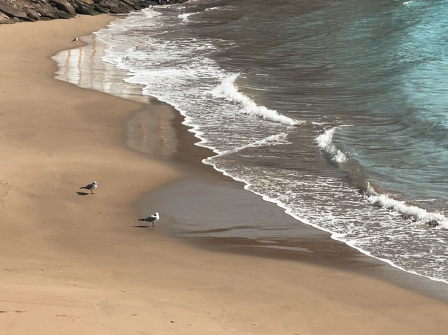 Don’t miss out on Haeundae in winter! 🌊