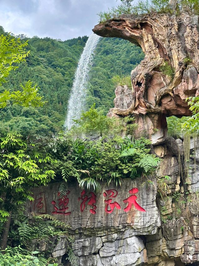 雲端漫步·南寶山避暑秘籍：一日納涼探險全攻略