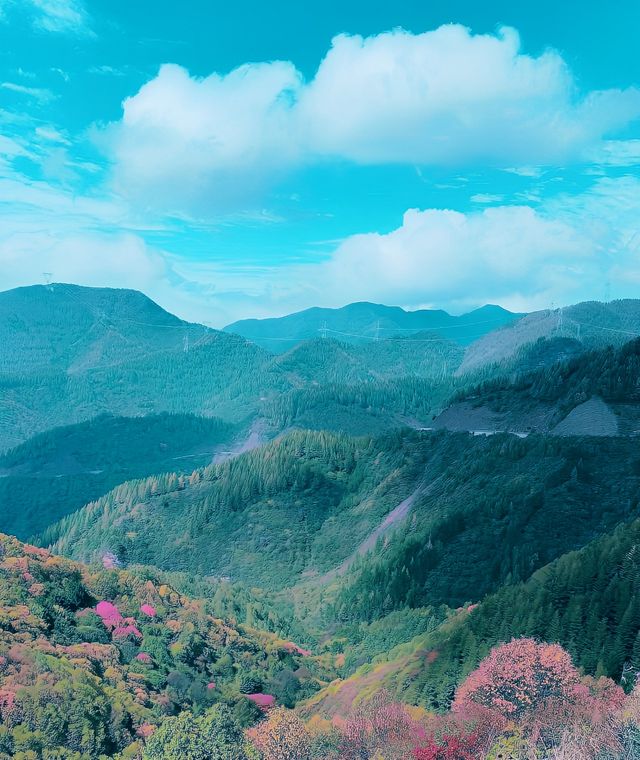 "探索六盘山！揭開千年古道與原始森林的神秘面紗！"