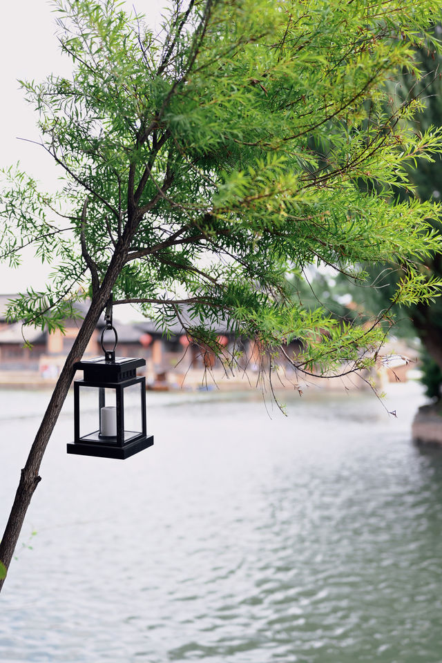 隱世小眾旅遊景點 | 距離上海只有1小時車程的錦溪古鎮。