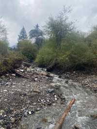 四川平武沙棘溝︱冷門寶藏小眾地。