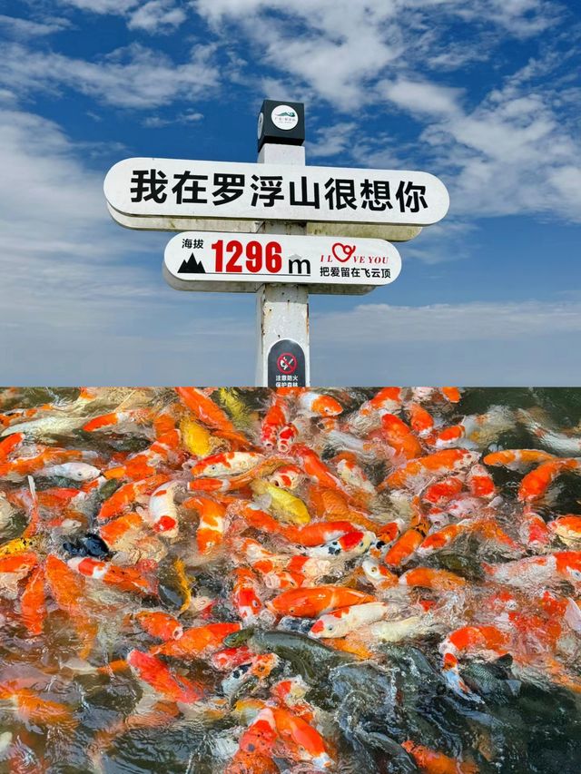 羅浮山旅行超詳細攻略。